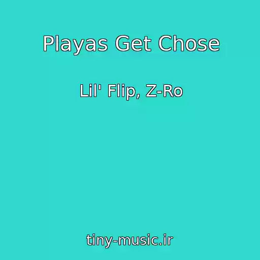 کاور آهنگ Playas Get Chose از Lil' Flip, Z-Ro