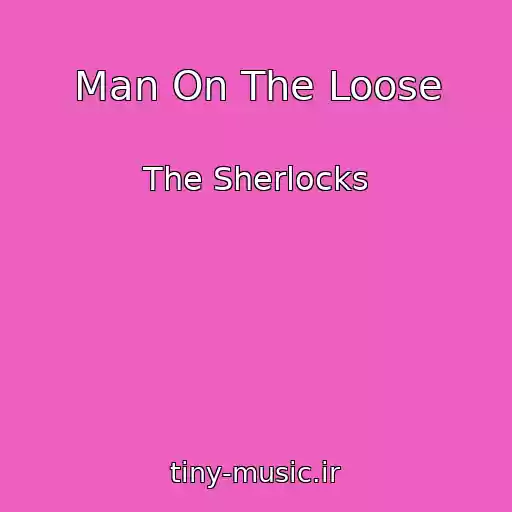 کاور آهنگ Man On The Loose از The Sherlocks