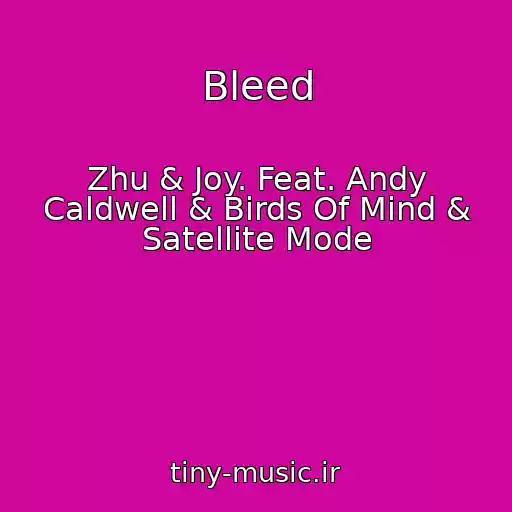 کاور آهنگ Bleed از Zhu & Joy. Feat. Andy Caldwell & Birds Of Mind & Satellite Mode