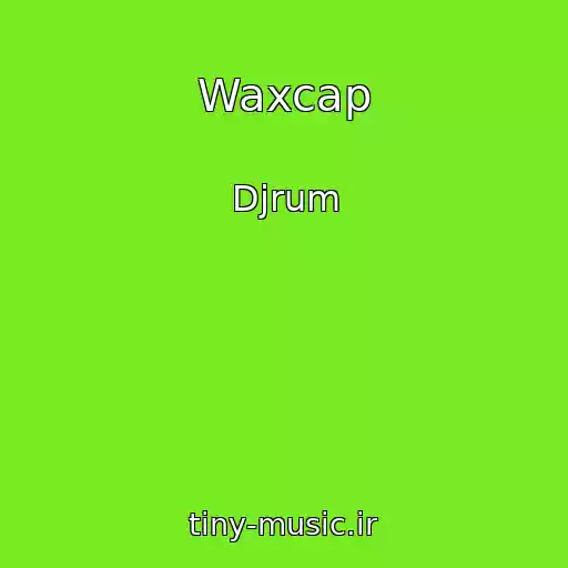 کاور آهنگ Waxcap از Djrum