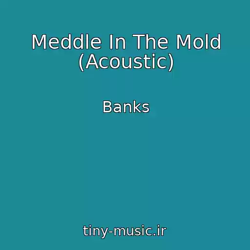 کاور آهنگ Meddle In The Mold (Acoustic) از Banks
