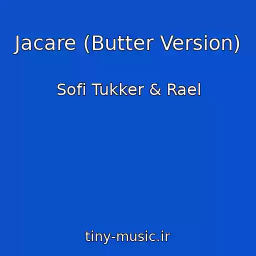 کاور آهنگ Jacare (Butter Version) از Sofi Tukker & Rael