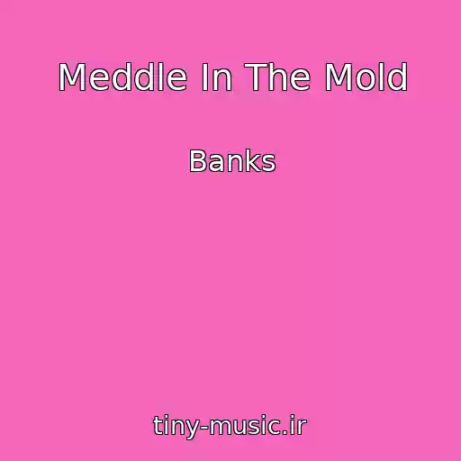 کاور آهنگ Meddle In The Mold از Banks