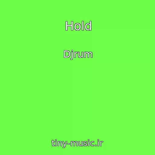کاور آهنگ Hold از Djrum