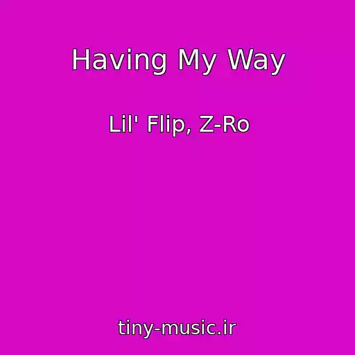 کاور آهنگ Having My Way از Lil' Flip, Z-Ro