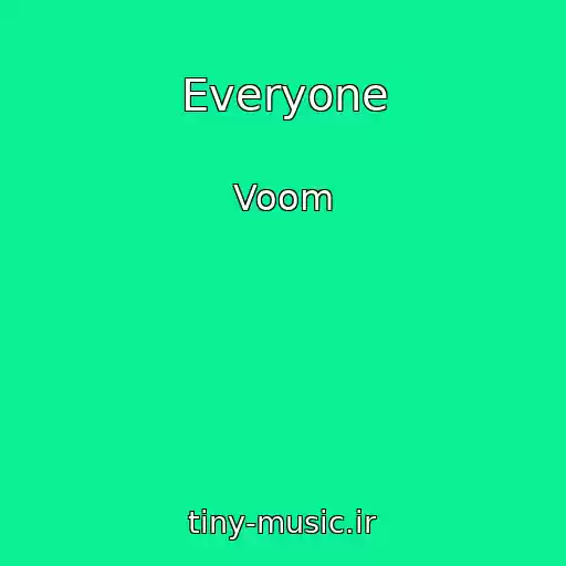 کاور آهنگ Everyone از Voom