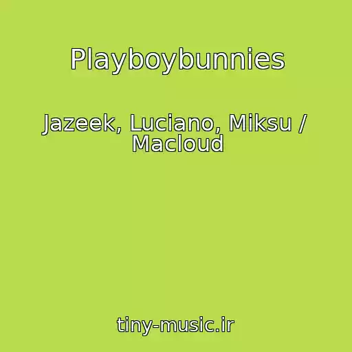 کاور آهنگ Playboybunnies از Jazeek, Luciano, Miksu / Macloud