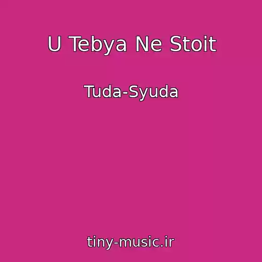 کاور آهنگ U Tebya Ne Stoit از Tuda-Syuda