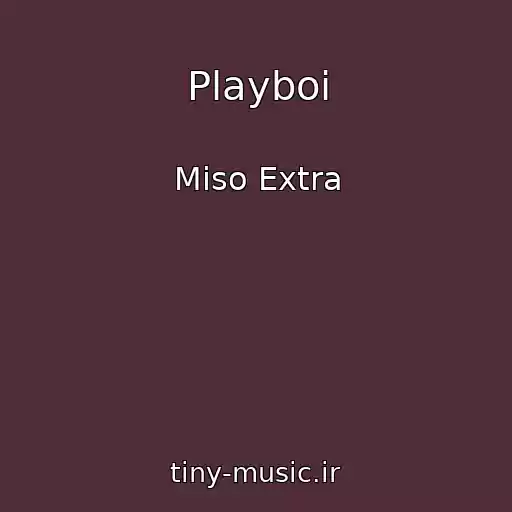 کاور آهنگ Playboi از Miso Extra