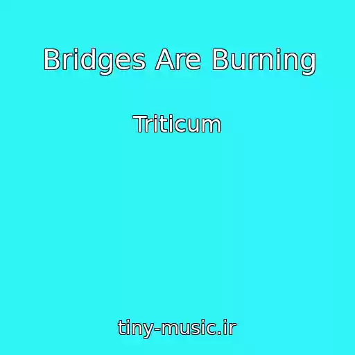 کاور آهنگ Bridges Are Burning از Triticum