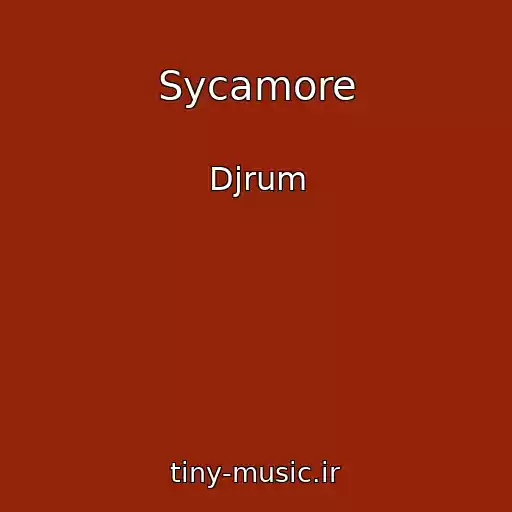 کاور آهنگ Sycamore از Djrum