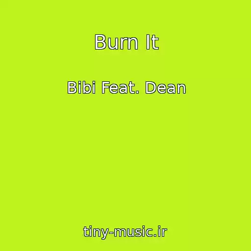کاور آهنگ Burn It از Bibi Feat. Dean