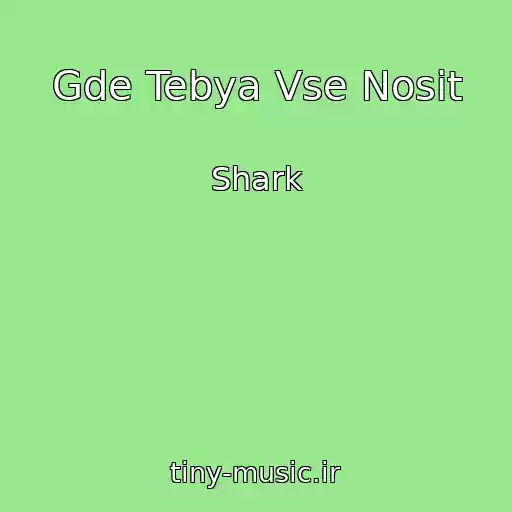 کاور آهنگ Gde Tebya Vse Nosit از Shark