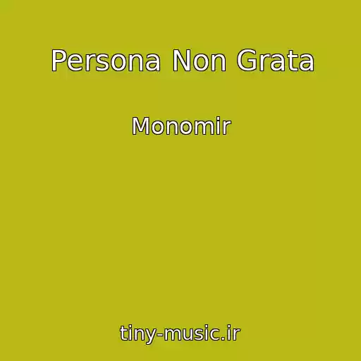 کاور آهنگ Persona Non Grata از Monomir