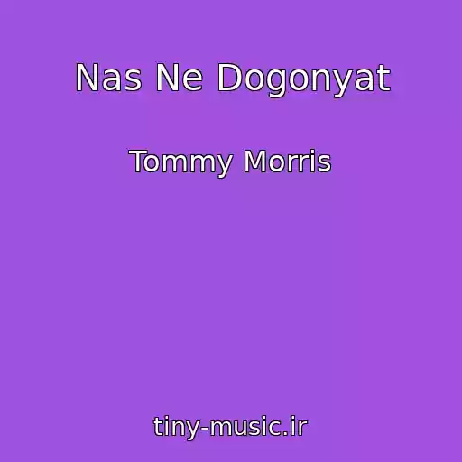 کاور آهنگ Nas Ne Dogonyat از Tommy Morris