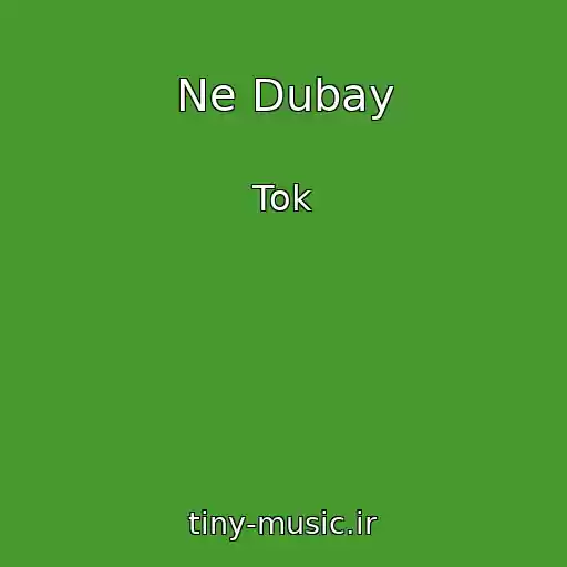 کاور آهنگ Ne Dubay از Tok