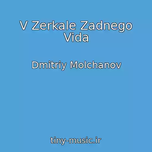 کاور آهنگ V Zerkale Zadnego Vida از Dmitriy Molchanov