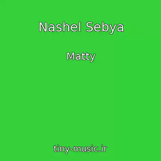 کاور آهنگ Nashel Sebya از Matty
