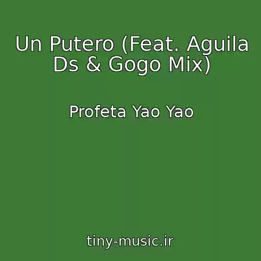 کاور آهنگ Un Putero (Feat. Aguila Ds & Gogo Mix) از Profeta Yao Yao