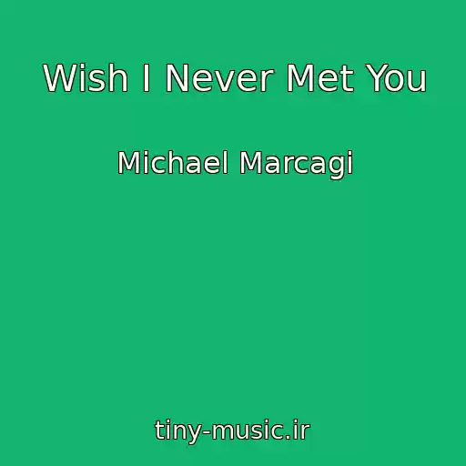 کاور آهنگ Wish I Never Met You از Michael Marcagi