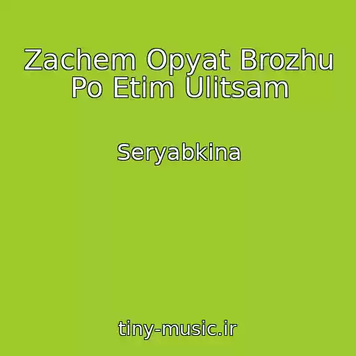 کاور آهنگ Zachem Opyat Brozhu Po Etim Ulitsam از Seryabkina