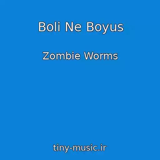 کاور آهنگ Boli Ne Boyus از Zombie Worms