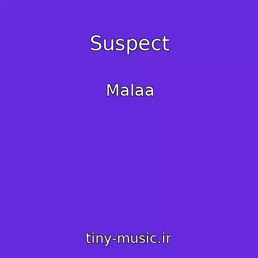 کاور آهنگ Suspect از Malaa