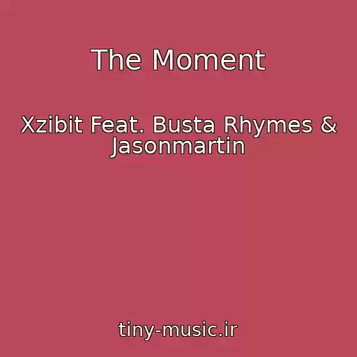 کاور آهنگ The Moment از Xzibit Feat. Busta Rhymes & Jasonmartin