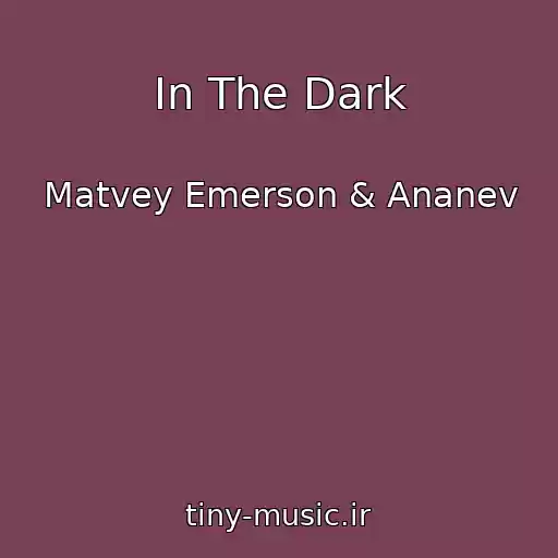 کاور آهنگ In The Dark از Matvey Emerson & Ananev