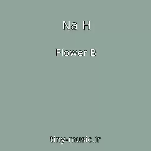 کاور آهنگ Na H از Flower B