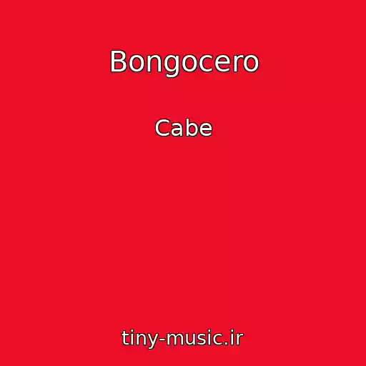 کاور آهنگ Bongocero از Cabe