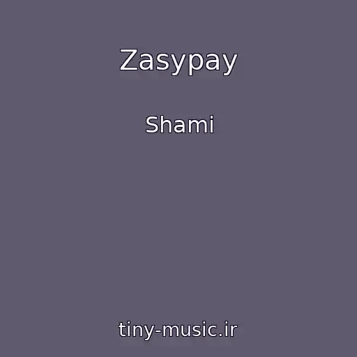 کاور آهنگ Zasypay از Shami