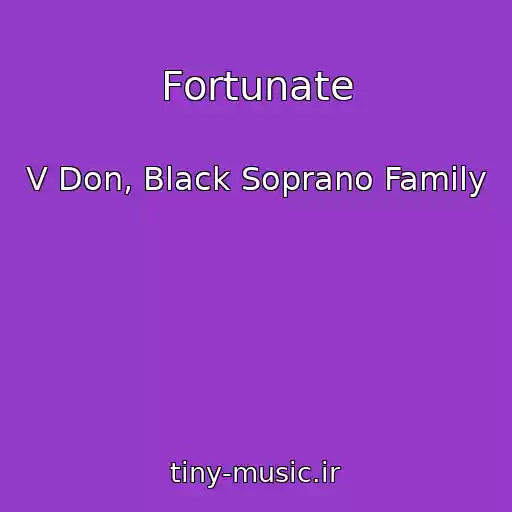 کاور آهنگ Fortunate از V Don, Black Soprano Family