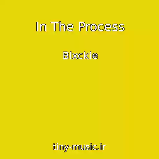 کاور آهنگ In The Process از Blxckie
