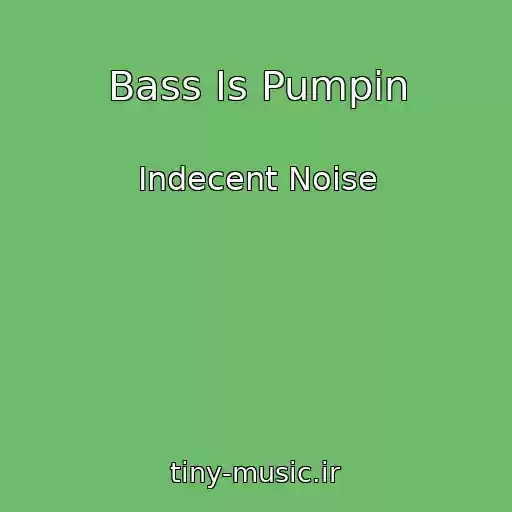 کاور آهنگ Bass Is Pumpin از Indecent Noise