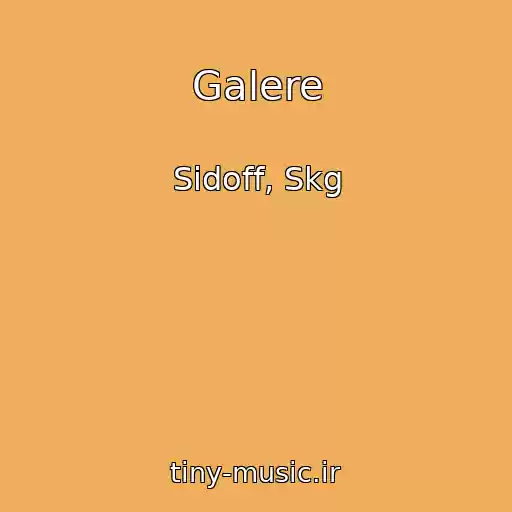 کاور آهنگ Galere از Sidoff, Skg