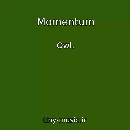 کاور آهنگ Momentum از Owl.
