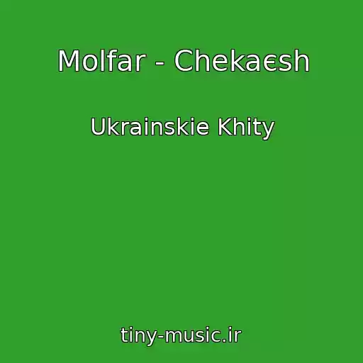 کاور آهنگ Molfar - Chekaєsh از Ukrainskie Khity