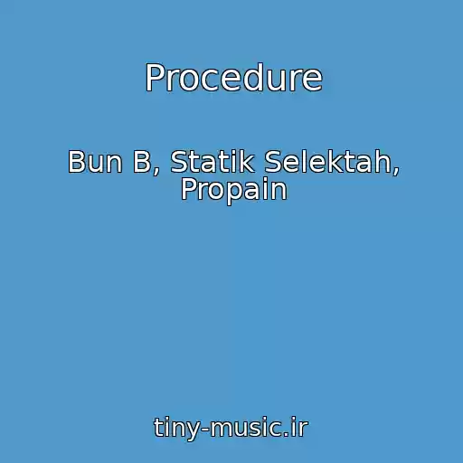 کاور آهنگ Procedure از Bun B, Statik Selektah, Propain