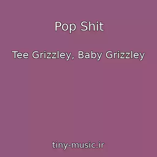 کاور آهنگ Pop Shit از Tee Grizzley, Baby Grizzley