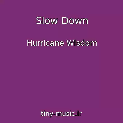 کاور آهنگ Slow Down از Hurricane Wisdom