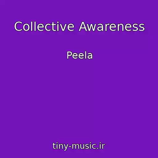 کاور آهنگ Collective Awareness از Peela