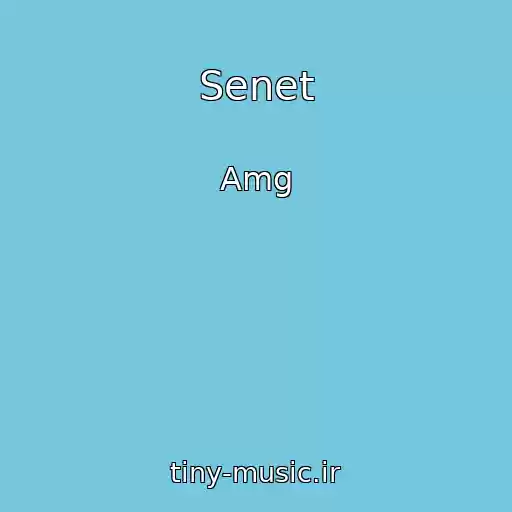 کاور آهنگ Senet از Amg