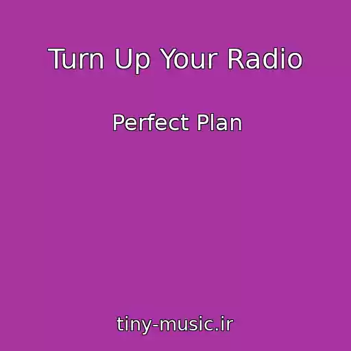 کاور آهنگ Turn Up Your Radio از Perfect Plan