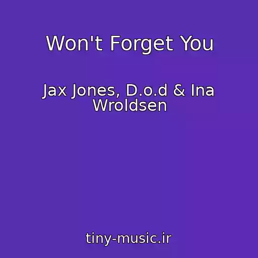 کاور آهنگ Won't Forget You از Jax Jones, D.o.d & Ina Wroldsen