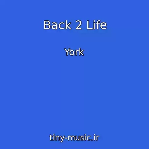 کاور آهنگ Back 2 Life از York