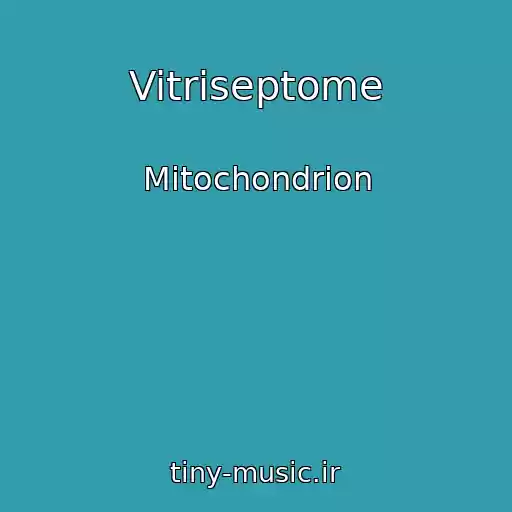 کاور آهنگ Vitriseptome از Mitochondrion