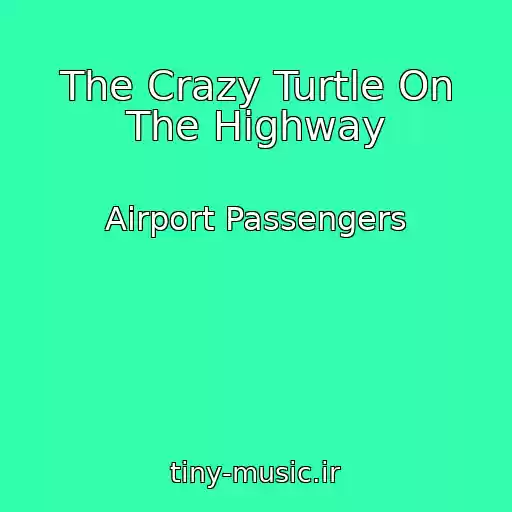 کاور آهنگ The Crazy Turtle On The Highway از Airport Passengers