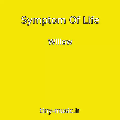 کاور آهنگ Symptom Of Life از Willow