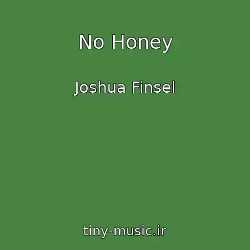 کاور آهنگ No Honey از Joshua Finsel
